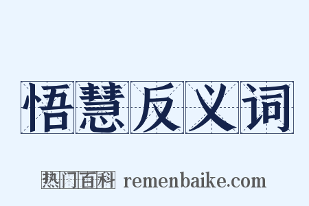 悟慧反义词是什么意思的图片